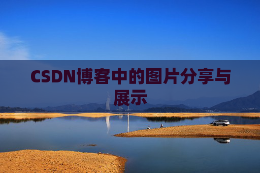 CSDN博客中的图片分享与展示